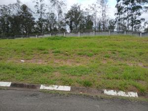 Terreno no Condomínio Reserva Santa Maria Nature